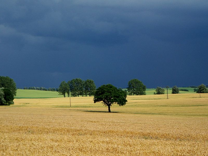 Diedrichshagener Berg, Rostock