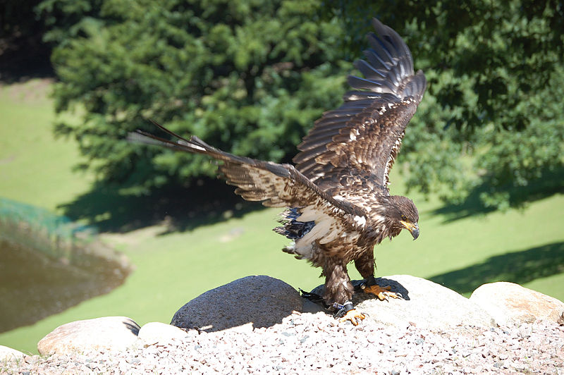 Schwarze Berge Wildlife Park