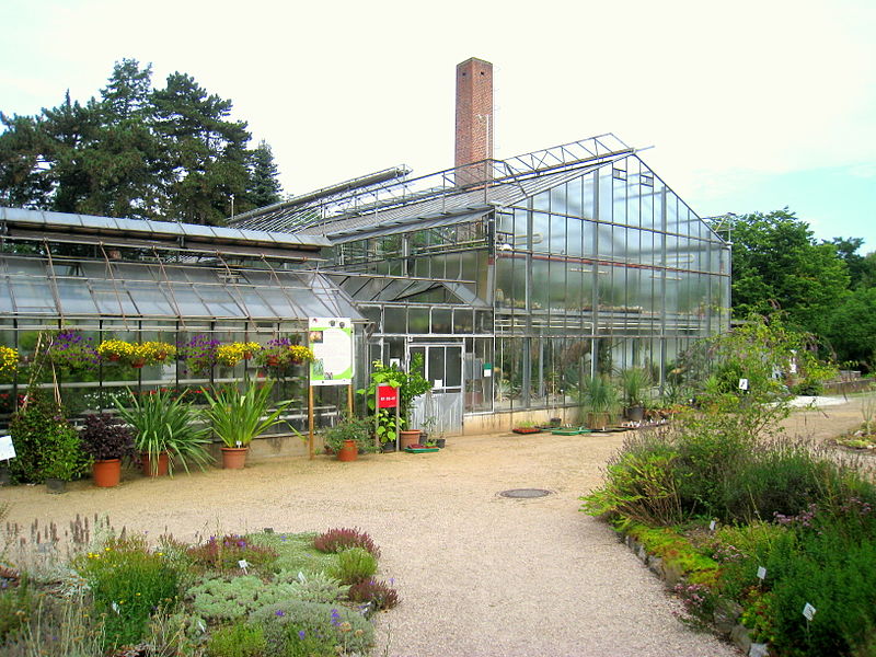Jardín botánico de la Universidad Técnica de Darmstadt
