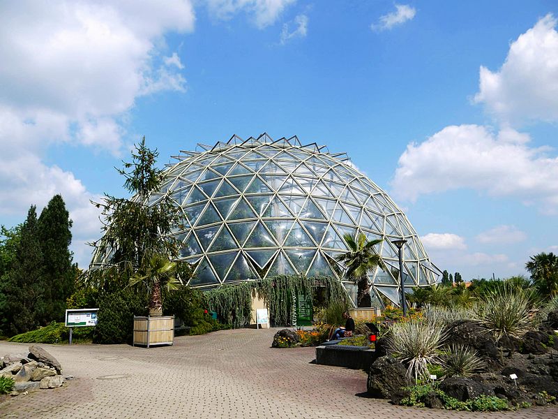 Jardín botánico de la Universidad de Düsseldorf