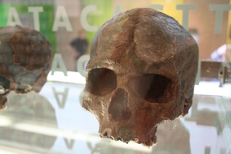 Musée de l'Homme de Néandertal