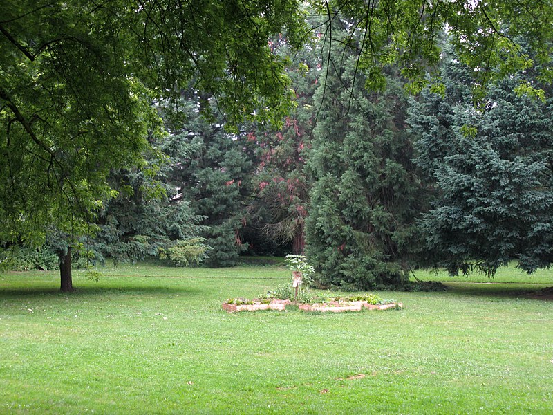 Green spaces in Freiburg