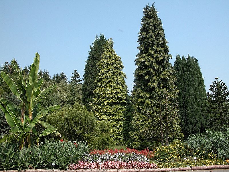 Jardín botánico nuevo de Marburgo
