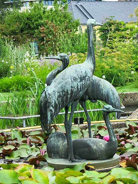 Jardín botánico de la Universidad de Bonn