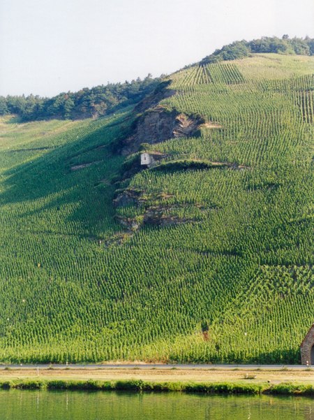 Weingut Joh. Jos. Prüm