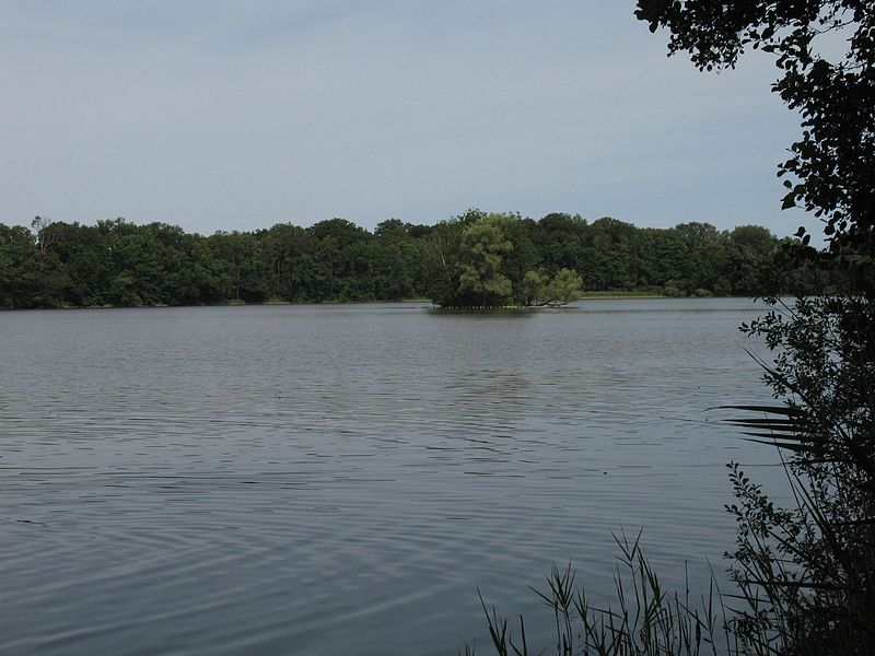 Lake Boissow and Lake Neuenkirchen South Nature Reserve