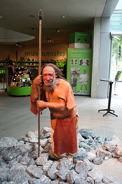 Musée de l'Homme de Néandertal