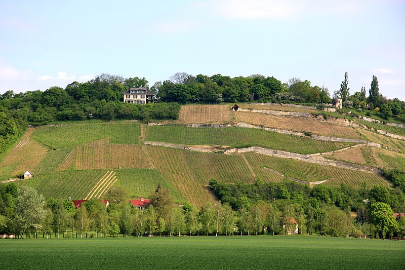 Naumburg Cathedral and the High Medieval Cultural Landscape of the Rivers Saale and Unstrut