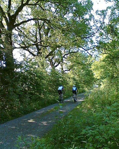 Wildpark Neuhaus im Solling