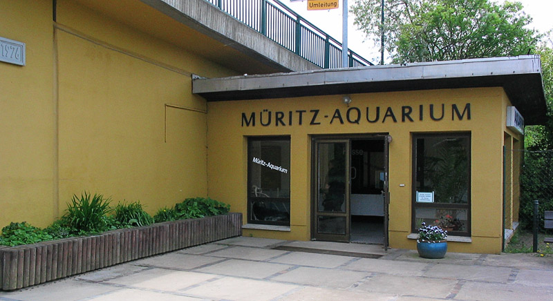 Müritzeum