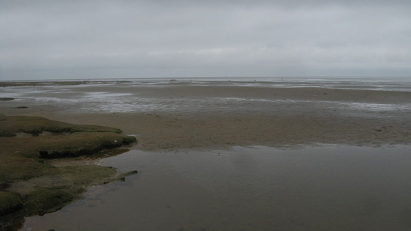 Westerhever