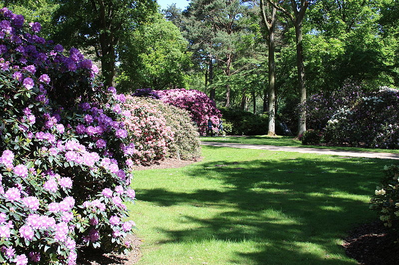 Park różaneczników i ogród botaniczny