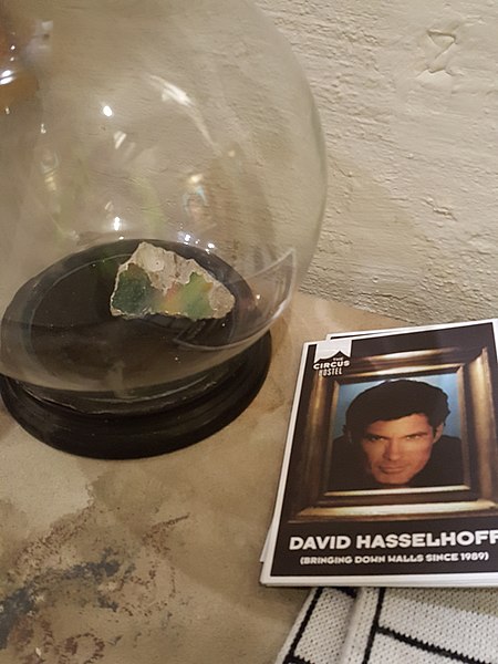 David Hasselhoff Museum