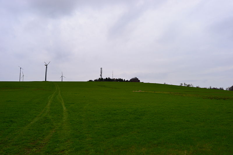 Hirtstein