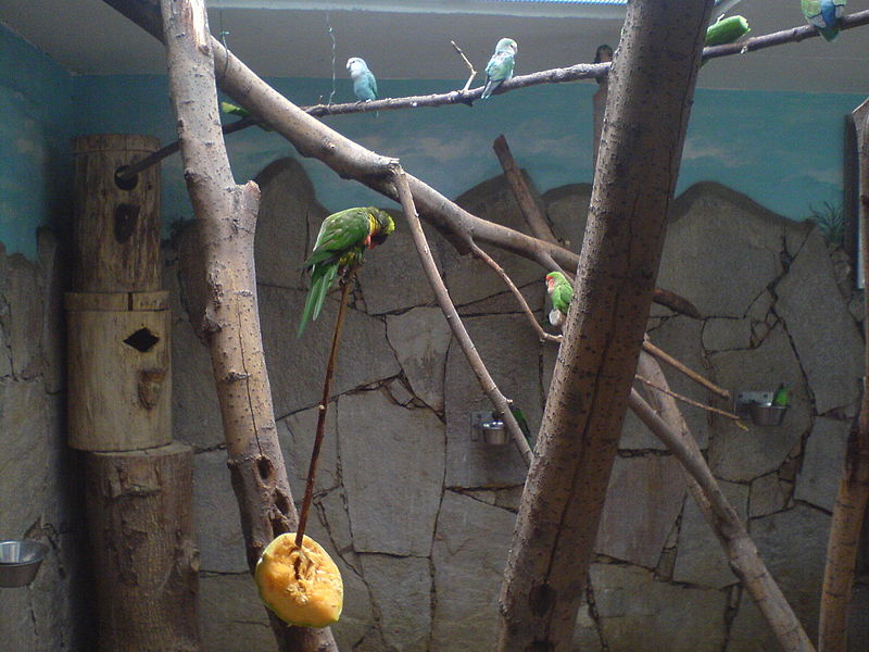 Jardin zoologique de Straubing