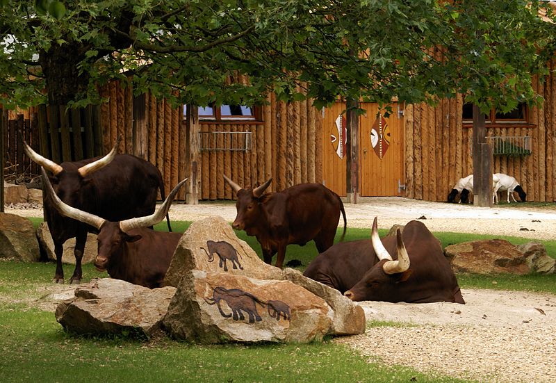 Jardin zoologique de Straubing