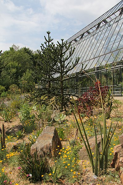 Botanical Garden of Ruhr University Bochum