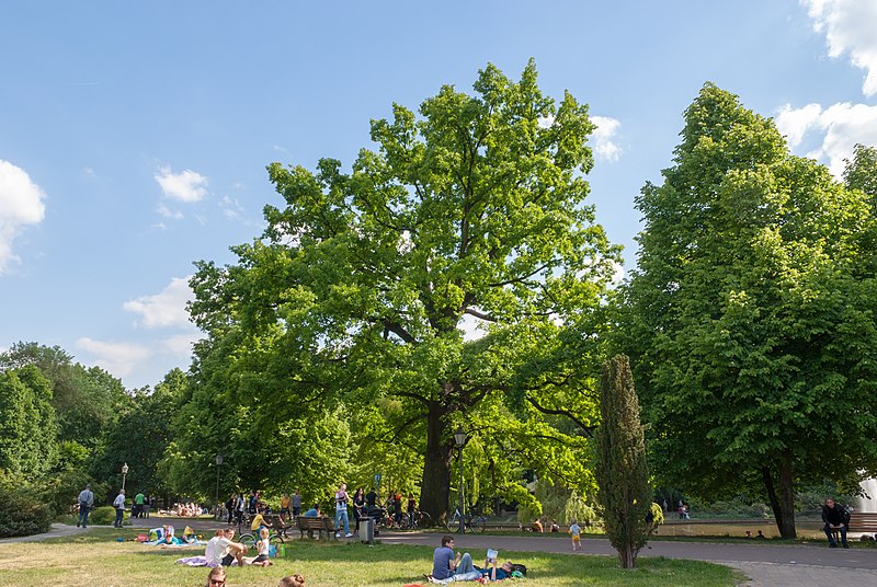 Parc public Friedrichshain