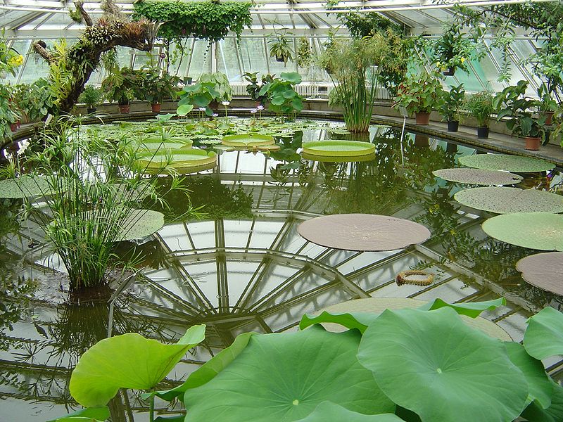 Jardin botanique et musée botanique de Berlin-Dahlem