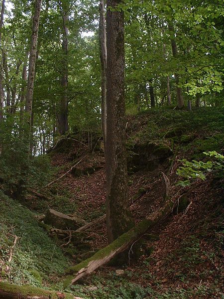 Hertenstein Castle