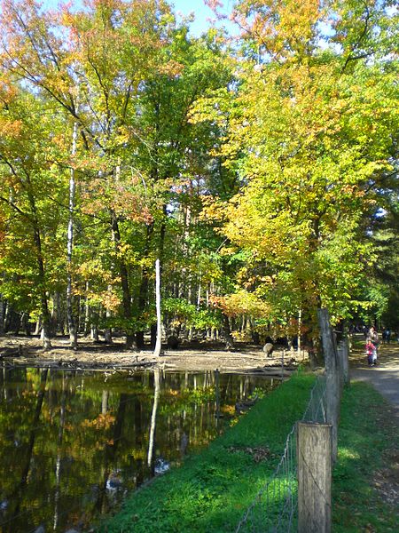 Wildpark Alte Fasanerie