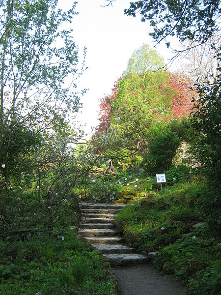 Jardin botanique de l'Université Georg-August de Göttingen