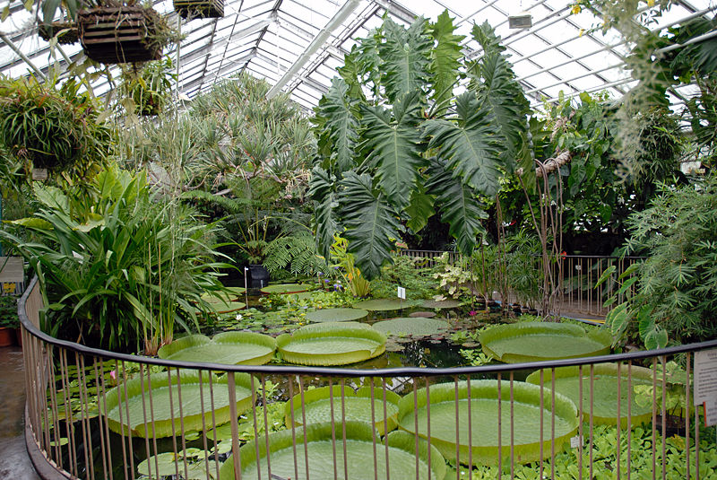 Jardín botánico de Jena