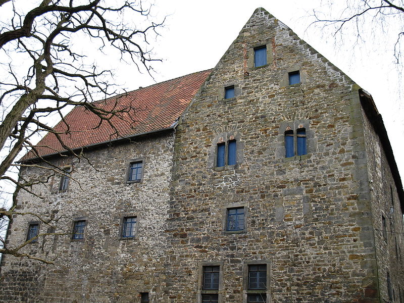 Steuerwald Castle