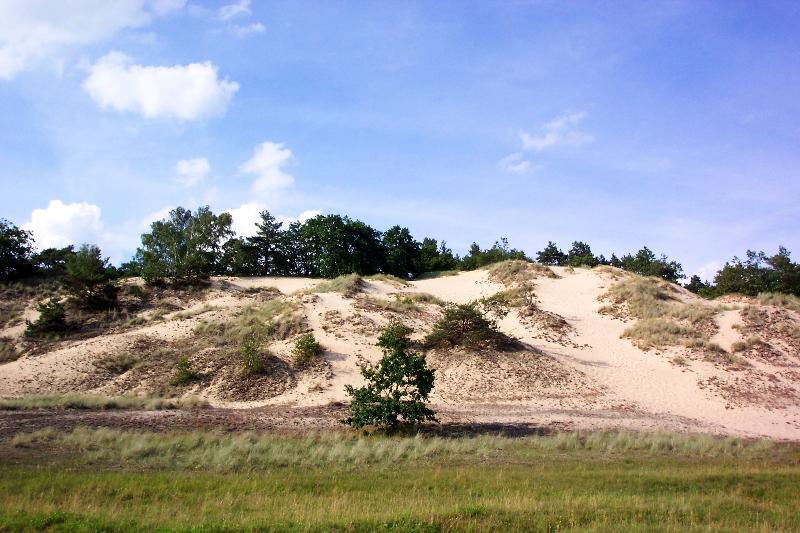 Inland dune