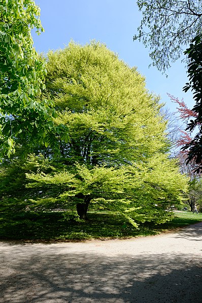 Jardín botánico de Solingen