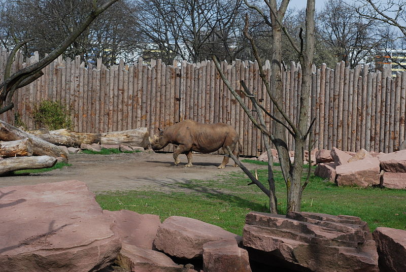 Magdeburg Zoo