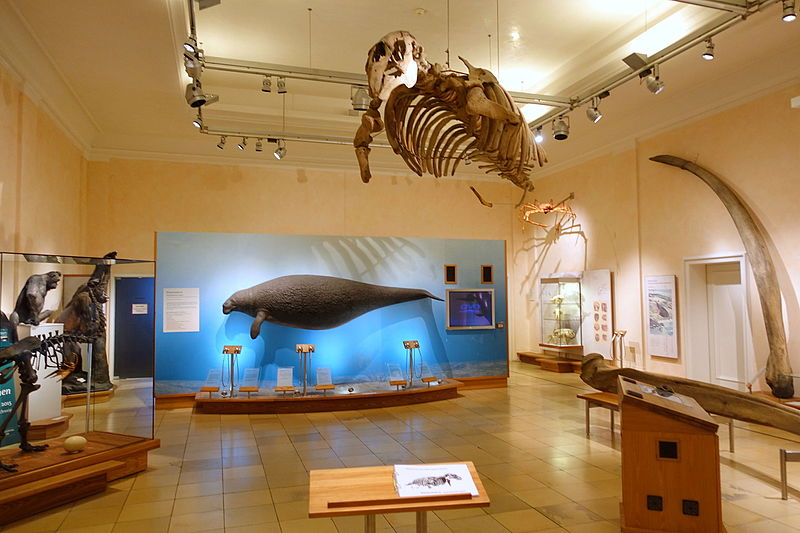 Museo de Historia Natural de Brunswick
