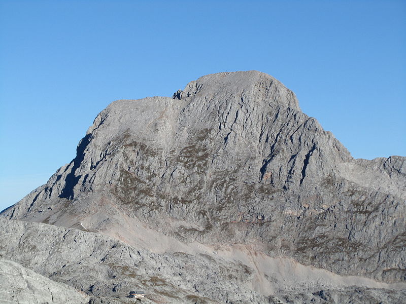 Großer Hundstod