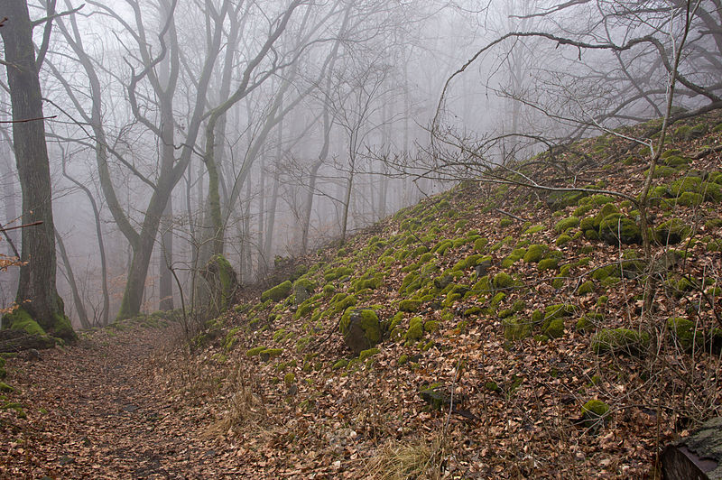 Oppidum Steinsburg