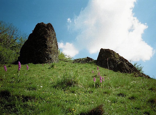 Réserve de biosphère de la Rhön