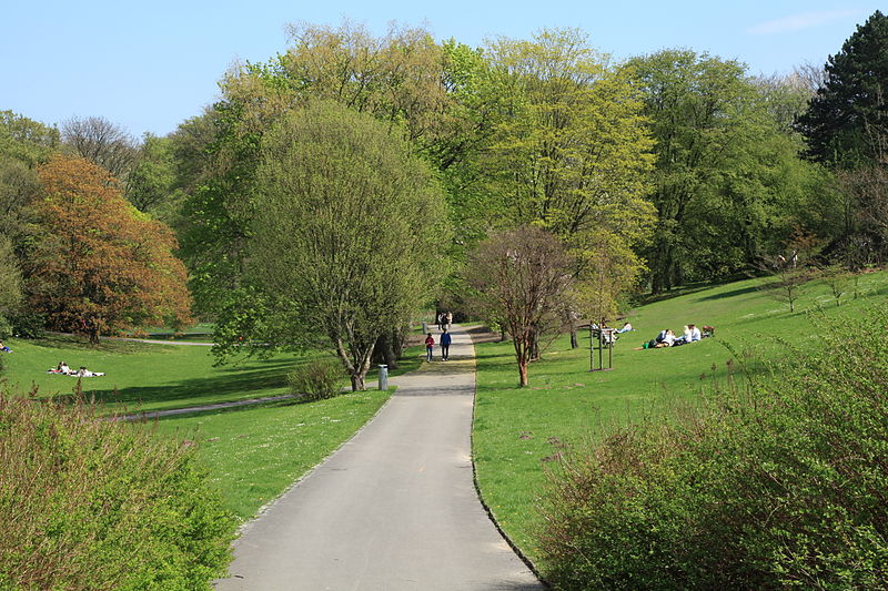 Botanischer Garten Rombergpark