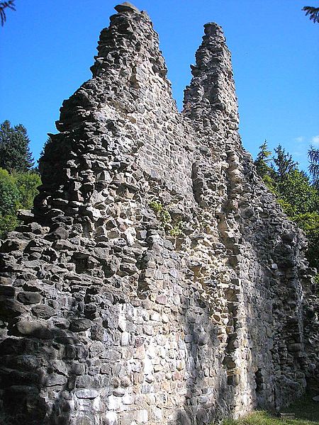 Ruine Burgberg