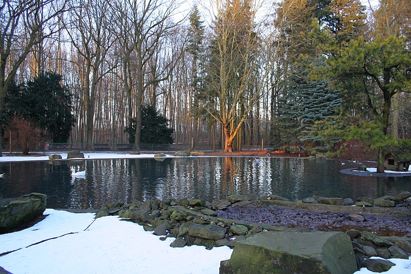 Wildpark im Tannenbusch