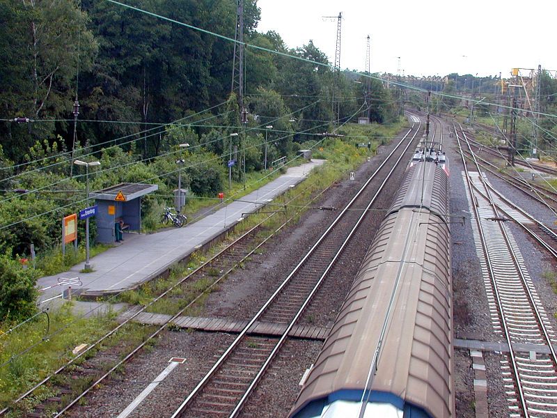 Entenfang, Mülheim an der Ruhr