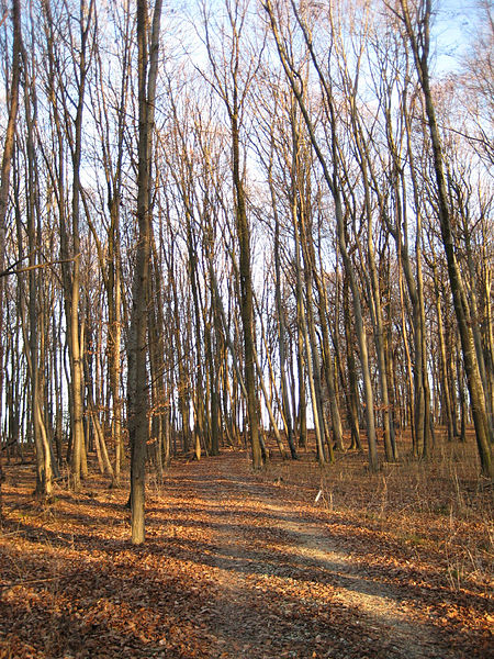 Kirchheim unter Teck