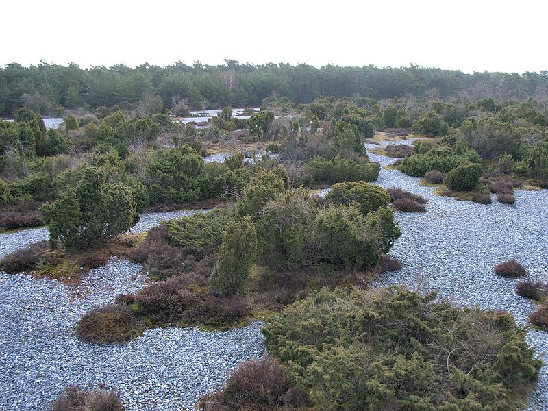 Stone Fields in the Schmale Heath and Extension