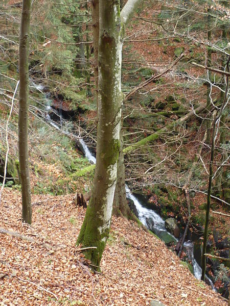Hirschbach Falls