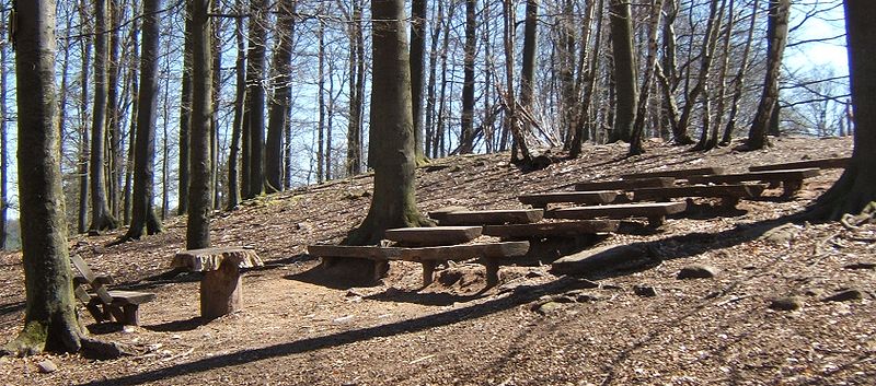 Wildpark Betzenberg