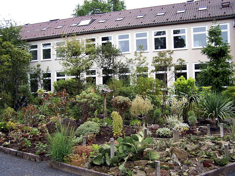 Jardín botánico de la Universidad de Gotinga