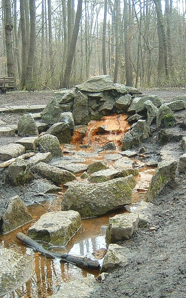 Frankfurt City Forest