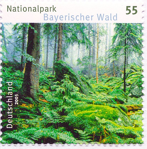 Parc national de la forêt de Bavière