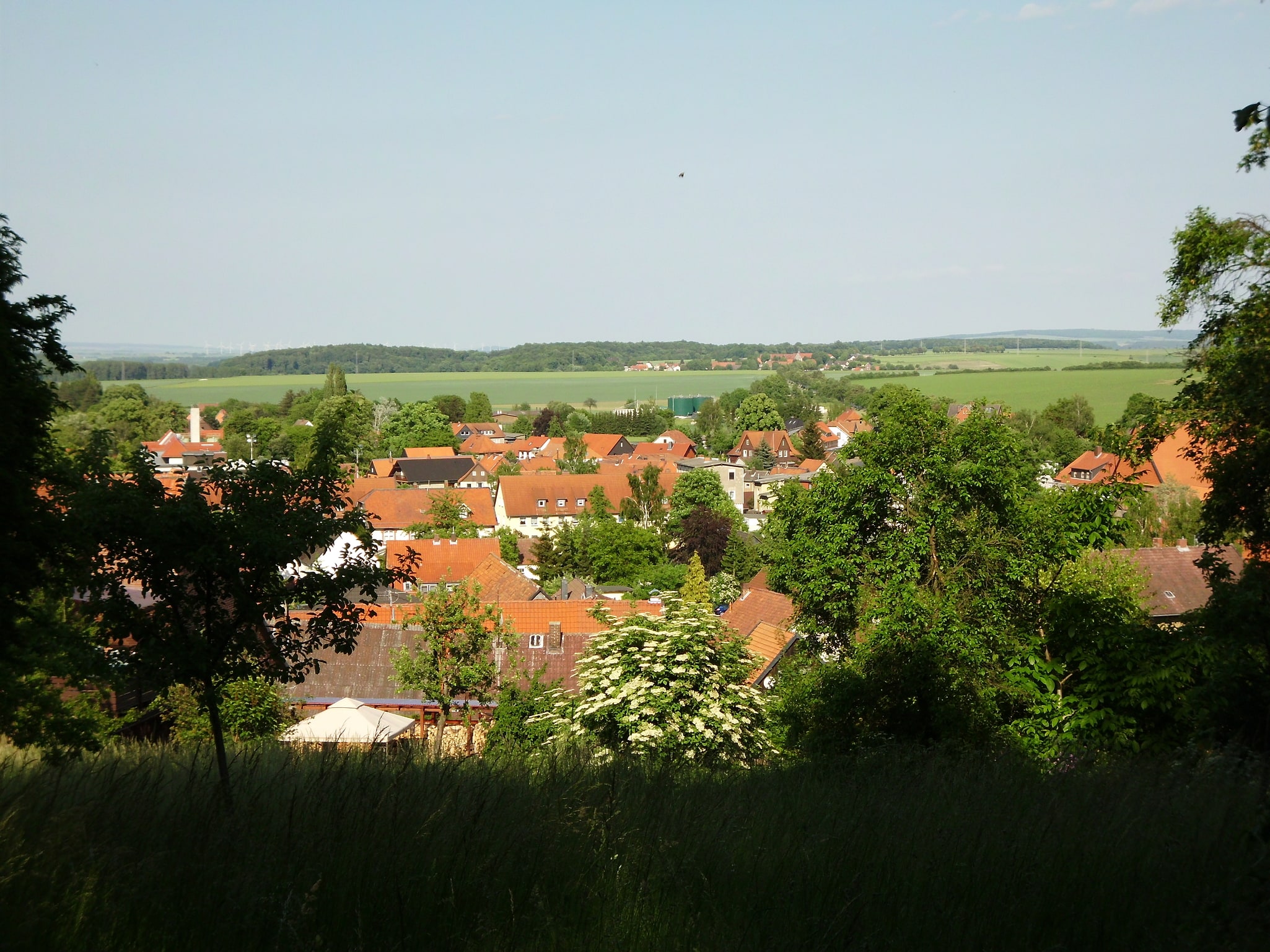 Liebenburg, Niemcy