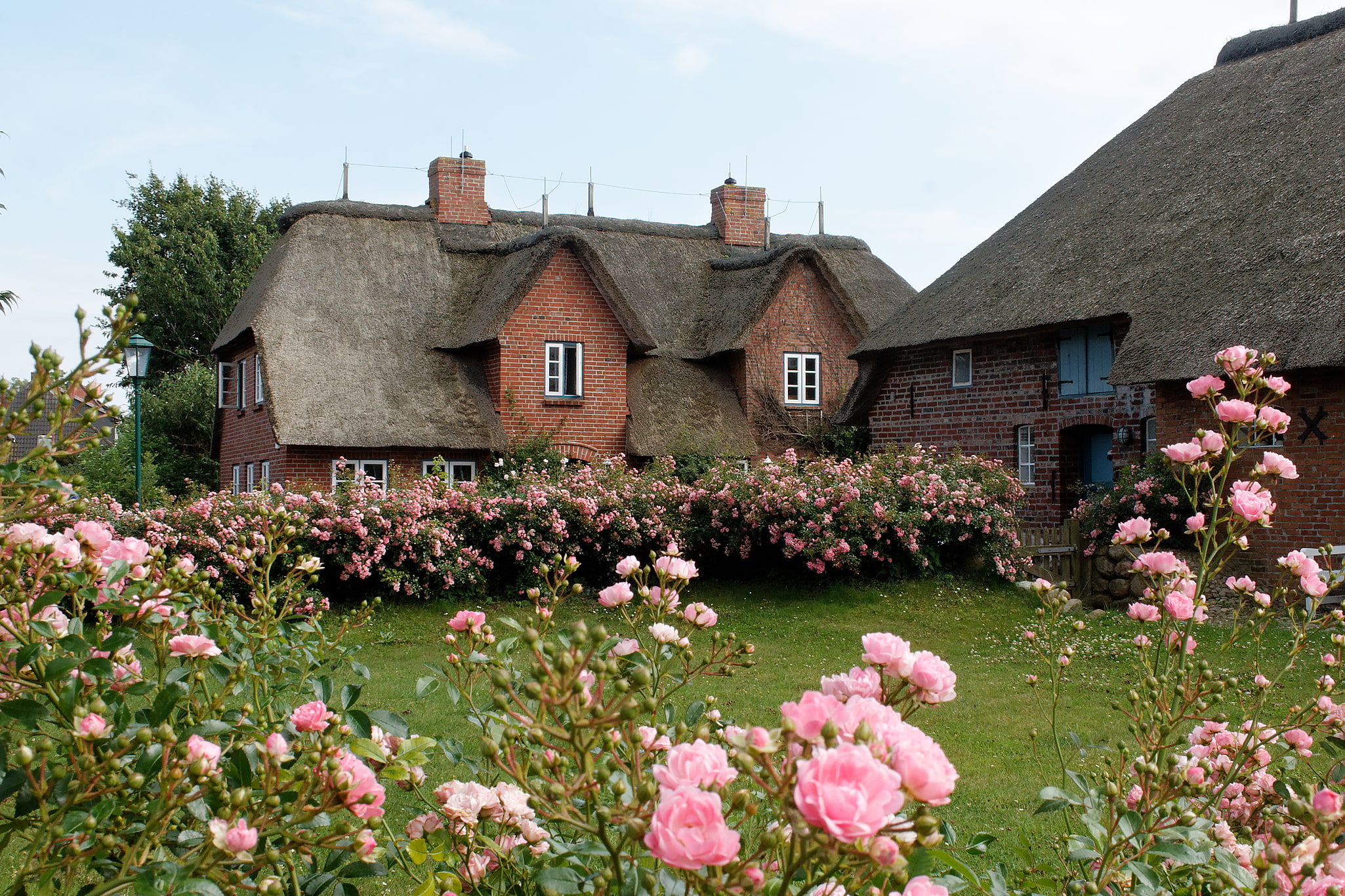 Oevenum, Deutschland