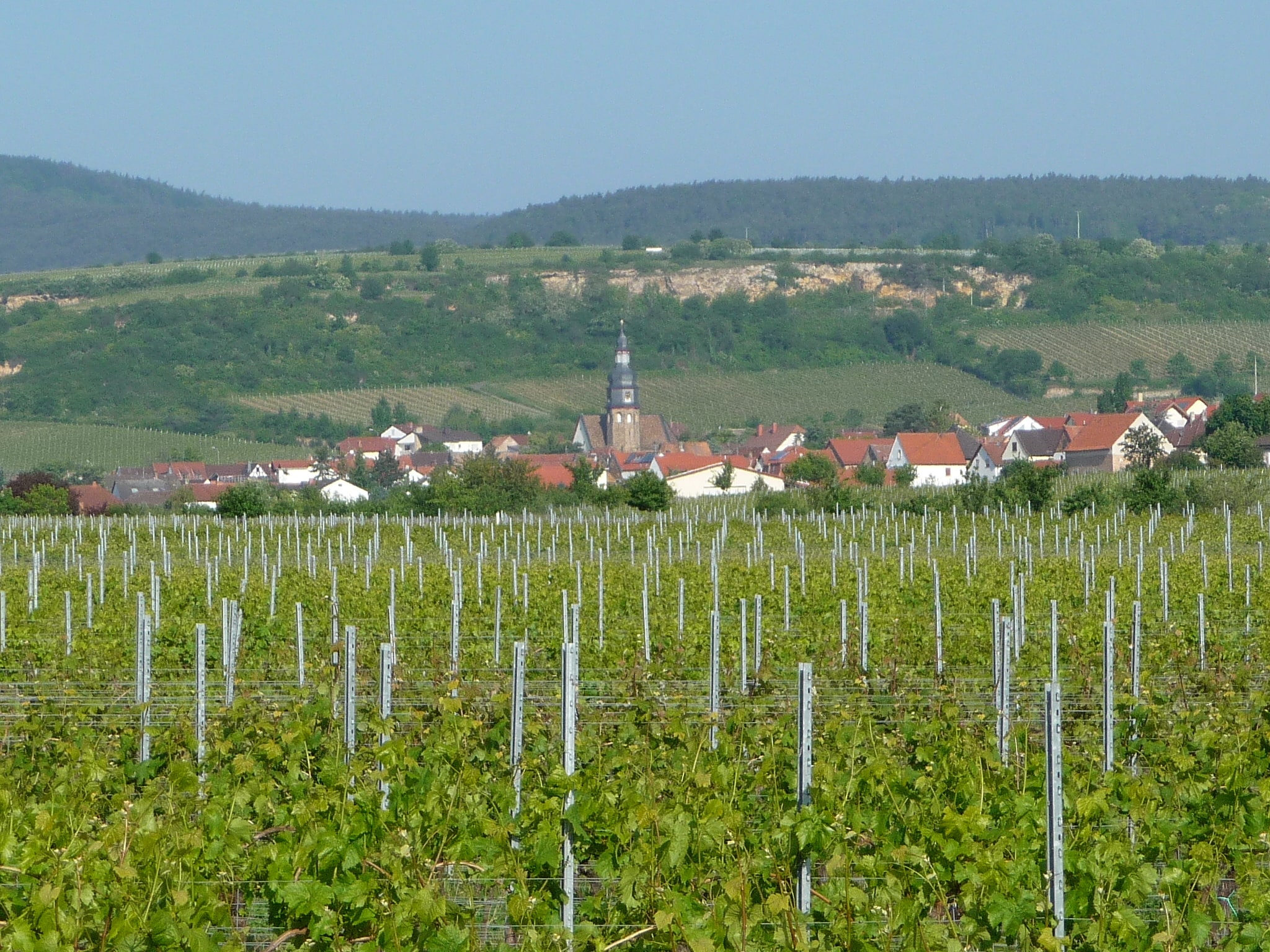 Kallstadt, Allemagne