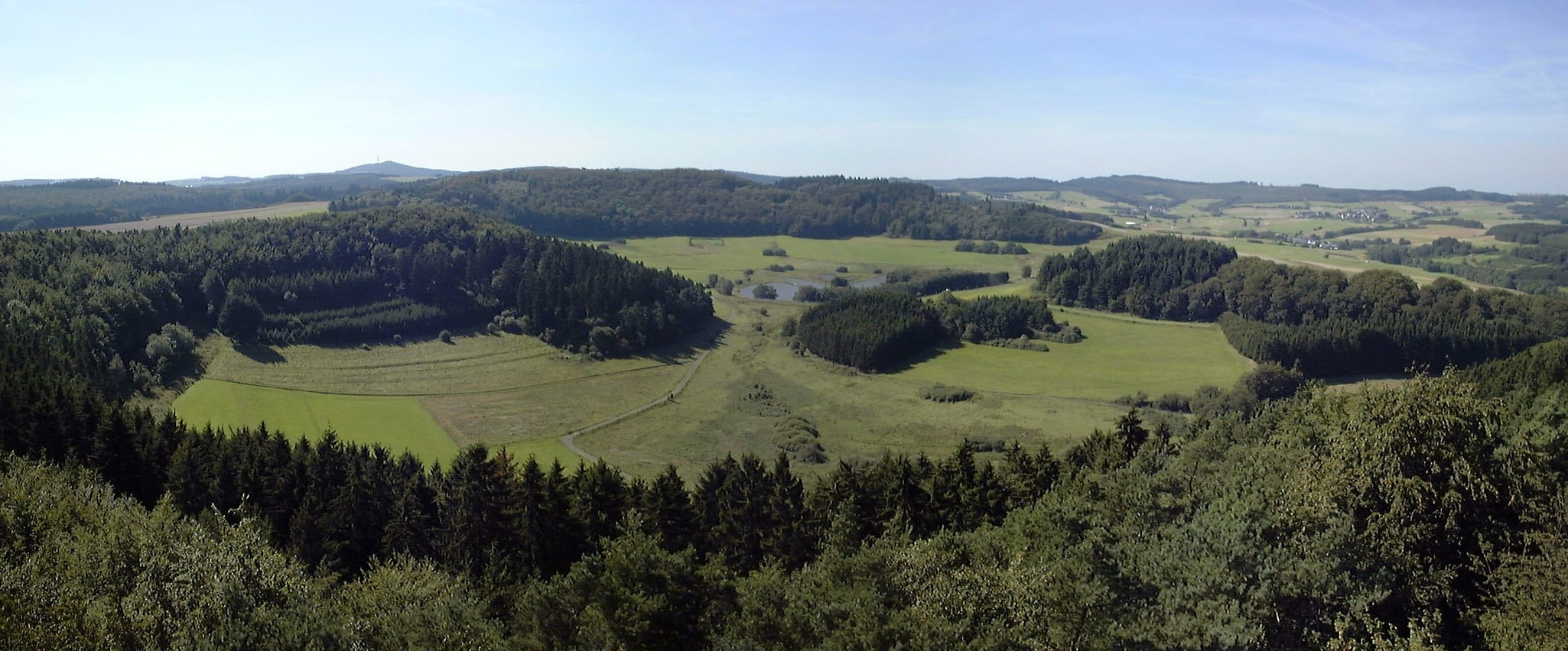 Booser Doppelmaar, Allemagne